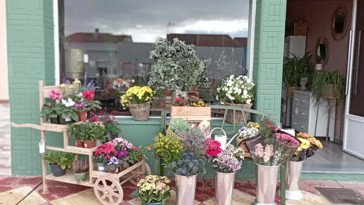 Montecito Boutique en Puebla de la Calzada